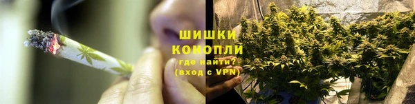сатива Баксан
