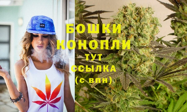 PSILOCYBIN Белокуриха