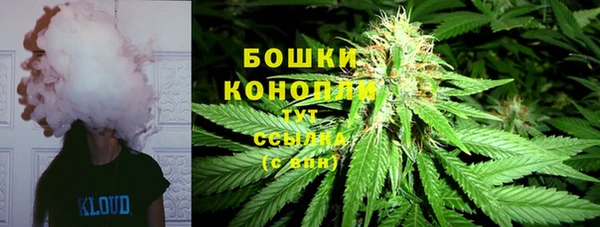 сатива Баксан
