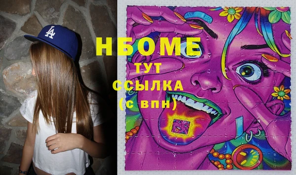 дживик Сясьстрой