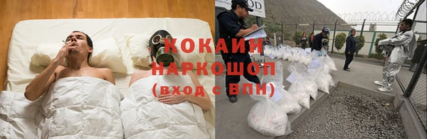 сатива Баксан